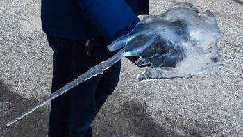 Bekuan es yang bentuknya mirip ikan pari. (Foto: Brightside)