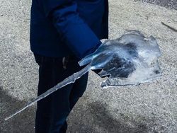 Potret Unik Fenomena Alam yang Bikin Mata Terpukau