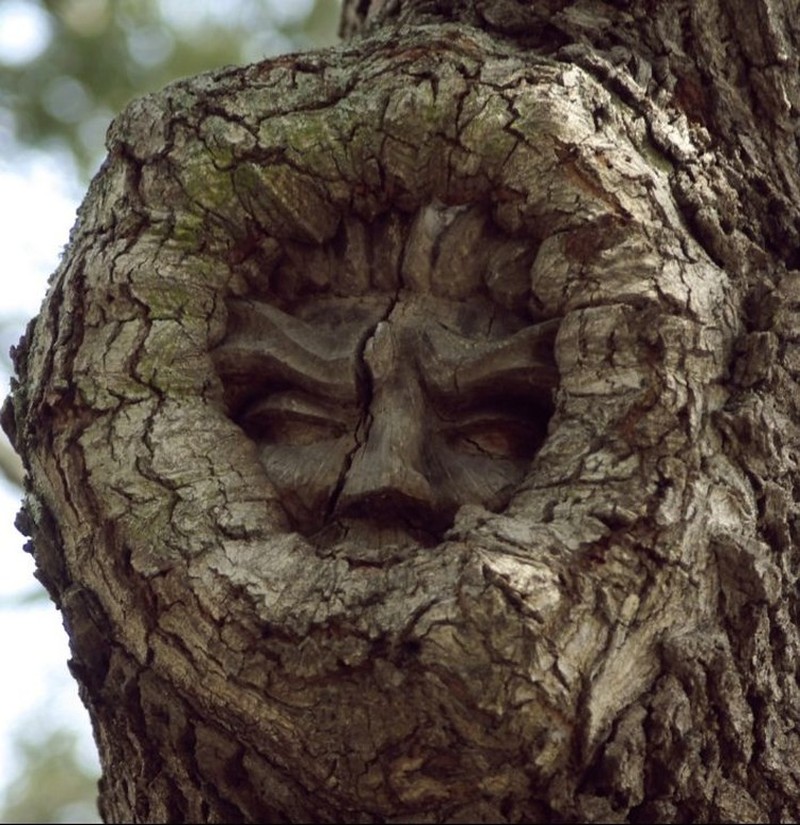 Potret Unik Fenomena Alam yang Bikin Mata Terpukau