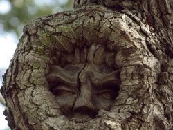 Potret Unik Fenomena Alam yang Bikin Mata Terpukau