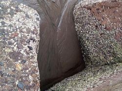 Potret Unik Fenomena Alam yang Bikin Mata Terpukau