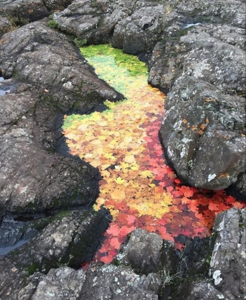 Potret Unik Fenomena Alam yang Bikin Mata Terpukau