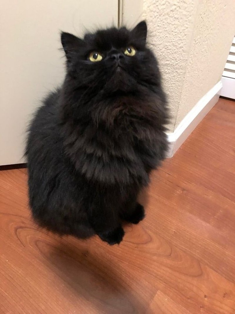 Potret Unik Fenomena Alam yang Bikin Mata Terpukau