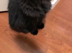 Potret Unik Fenomena Alam yang Bikin Mata Terpukau