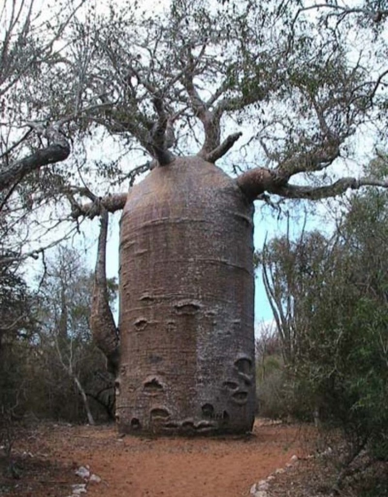 Potret Unik Fenomena Alam yang Bikin Mata Terpukau