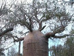 Potret Unik Fenomena Alam yang Bikin Mata Terpukau