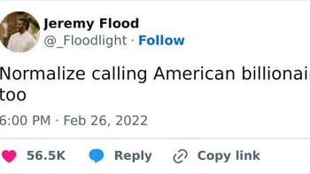 Kata netter. Foto: _floodlight via Bored Panda