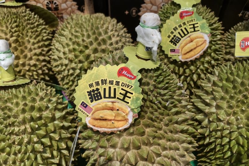 durian jatuh dari pohon asal Malaysia populer di China