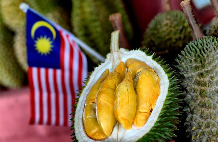 durian jatuh dari pohon asal Malaysia populer di China