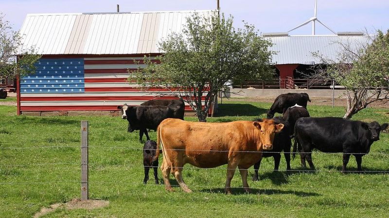 Efek Perang Tarif AS Vs China, Resto BBQ di China Kehabisan Daging Sapi Amerika