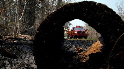 Hutan di New Jersey Membara