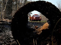 Hutan di New Jersey Membara