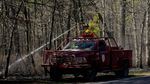 Hutan di New Jersey Membara