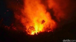 Video Anggota DPR Soroti Tak Ada Perhatian Khusus Karhutla di Sangihe Sulut