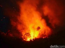 Ngerinya Karhutla di Tarakan Jika Dipicu Batu Bara Aktif