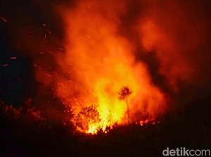 169 Kebakaran di Indramayu hingga Oktober 2026, Lahan Mendominasi