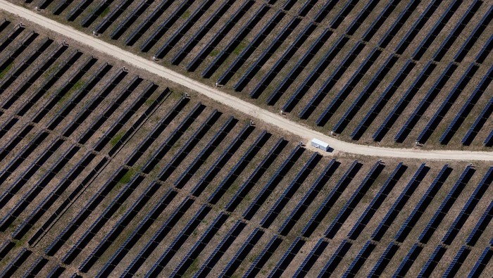 An aerial view shows rows of solar panels at a solar farm in Anson, Texas, U.S., April 23, 2025. REUTERS/Daniel Cole
