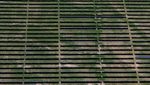 Melihat Ladang Panel Surya Anson Texas