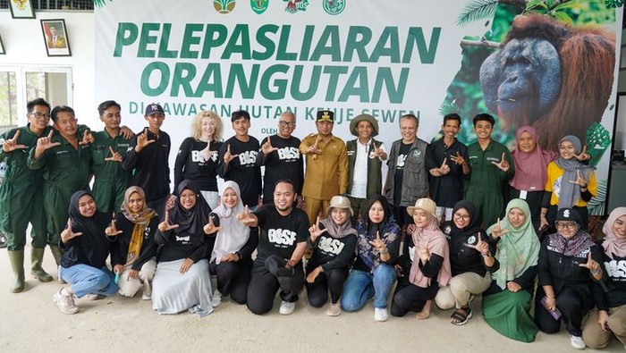Pelepasliaran orang utan