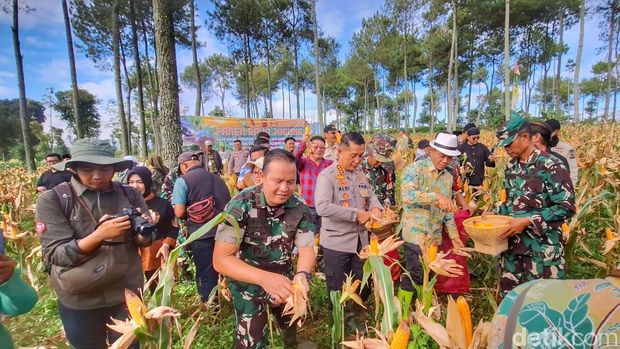 Pemkab Bandung dan Kodim menanam jagung di Arjasari