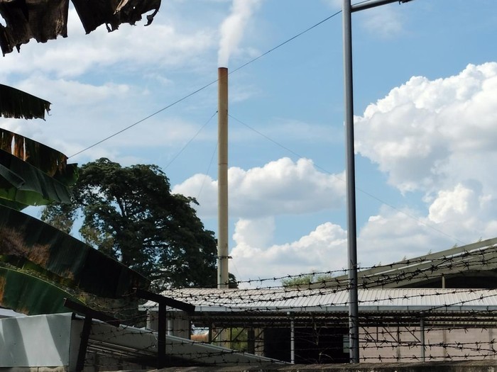 Asap mengepul dari cerobong asap pabrik tembakau milik PT Satta di Sukowati, Bojonegoro