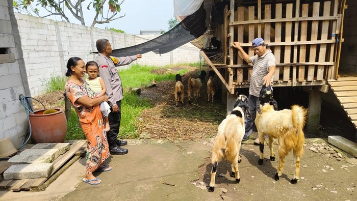 Anggota Polsek Tulangan, Sidoarjo mengecek peternakan dalam rangka mendukung ketahanan pangan