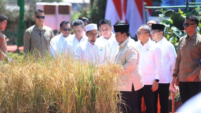 Presiden Prabowo langsung meninjau area peningkatan lahan yang sebelumnya berupa rawa dan tidak produktif di Ogan Ilir.