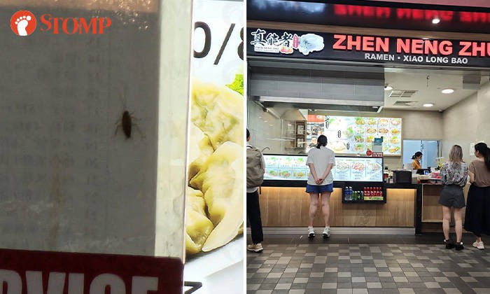 Protes Ada Kecoak saat Makan di Resto, Wanita Ini Diabaikan Karyawan