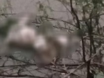 Mayat Mr X Tanpa Busana Ditemukan Mengapung di Sungai Musi Rawas