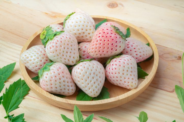 Stroberi Korea