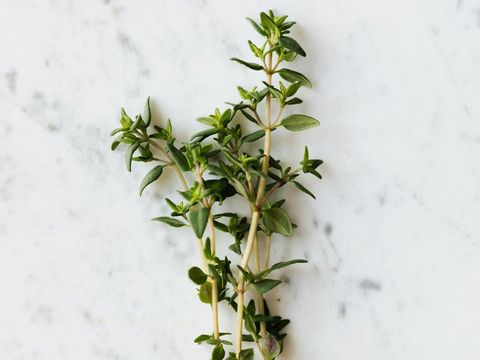 thyme/timi