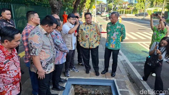 Wagub DKI Jakarta Rano Karno. (Brigitta/detikcom)