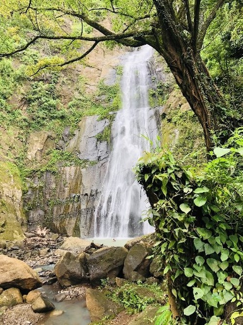 Air Terjun Mataru di Alor, NTT. (Tangkapan Layar Google Earth/Gill Westaway)