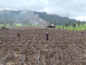 PTPN Buka Suara soal Ramai Alih Fungsi Lahan di Pangalengan Bandung