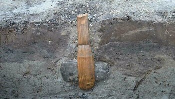 Kapak dengan gagang utuh ditemukan di Rodbyhavn, Denmark. Artefak ini berasal dari Zaman Batu, sekitar 5.500 tahun lalu. Foto: Bored Panda