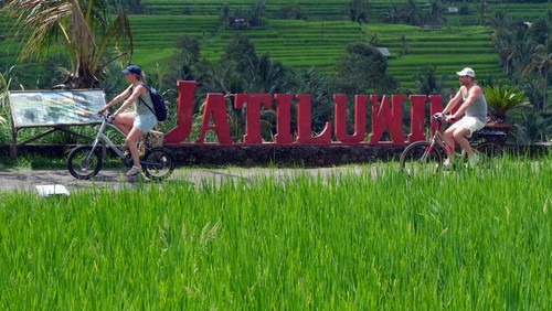 Wisatawan mancanegara menaiki sepeda berkeliling persawahan saat berkunjung di Desa Jatiluwih, Tabanan, Bali, Jumat (25/4/2025). Berwisata menggunakan sepeda menjadi wahana favorit di objek wisata yang telah ditetapkan UNESCO sebagai warisan budaya dunia tersebut dengan tarif sewa Rp150 ribu - Rp350 ribu per orang dengan durasi satu jam. ANTARA FOTO/Nyoman Hendra Wibowo/nz