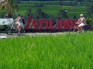 Pengelola Kembali Promosikan Wisata Jatiluwih Usai Petani Cabut Seng