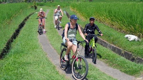 Wisatawan mancanegara menaiki sepeda berkeliling persawahan saat berkunjung di Desa Jatiluwih, Tabanan, Bali, Jumat (25/4/2025). Berwisata menggunakan sepeda menjadi wahana favorit di objek wisata yang telah ditetapkan UNESCO sebagai warisan budaya dunia tersebut dengan tarif sewa Rp150 ribu - Rp350 ribu per orang dengan durasi satu jam. ANTARA FOTO/Nyoman Hendra Wibowo/nz
