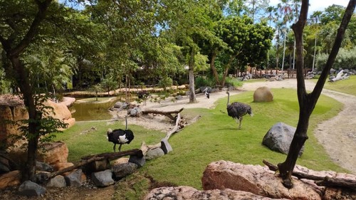 Salah satu kandang satwa Bali Zoo, Gianyar, Bali, beberapa waktu lalu.