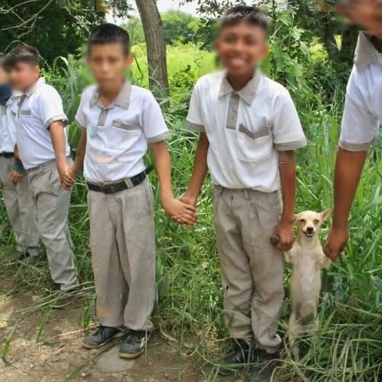 Foto hewan lucu