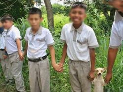 Kumpulan Foto Tingkah Lucu Hewan Bikin Senyum-senyum