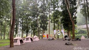 Glamping Sambil Nikmati Alam Pujon Malang