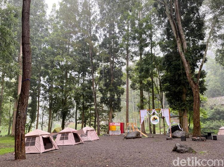 Glamping Sambil Nikmati Alam Pujon Malang