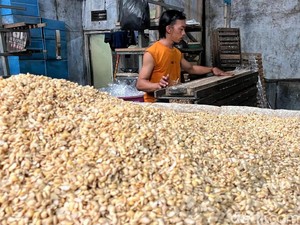 Petani AS Merana Imbas Ekspor Kedelai Terganggu Aturan Trump