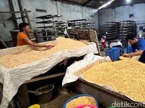 Imbas Kedelai Naik, Perajin Mojokerto Perkecil Ukuran Tempe