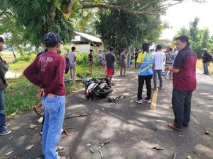 Tabrakan Truk Vs Motor di Jalan Poros Bone-Sinjai, 1 Orang Tewas