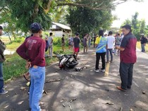 Tabrakan Truk Vs Motor di Jalan Poros Bone-Sinjai, 1 Orang Tewas