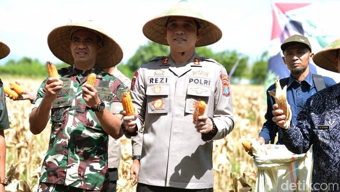 Kapolres Situbondo panen raya jagung