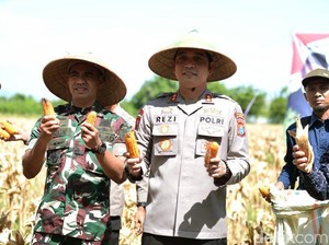 Varietas Jagung Baru Bernama Bhayangkara Dikenalkan di Situbondo