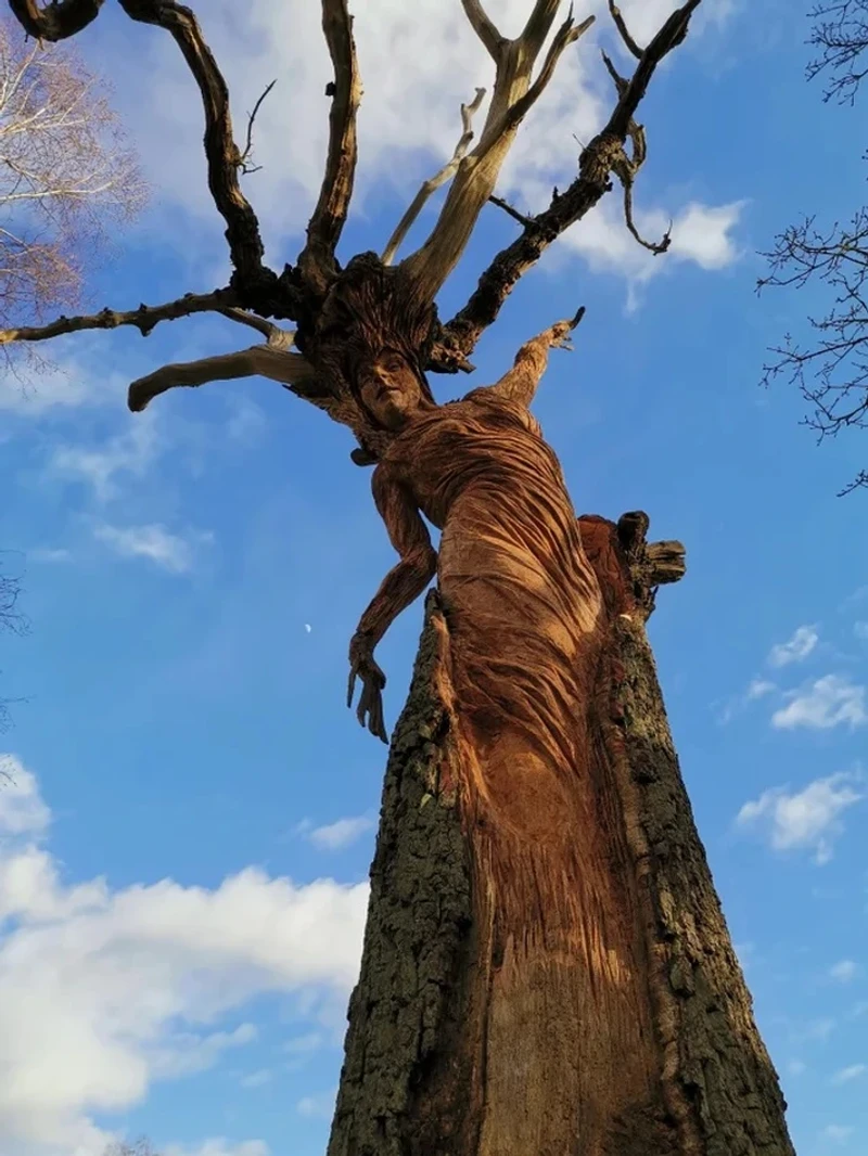 Karya seni isu lingkungan